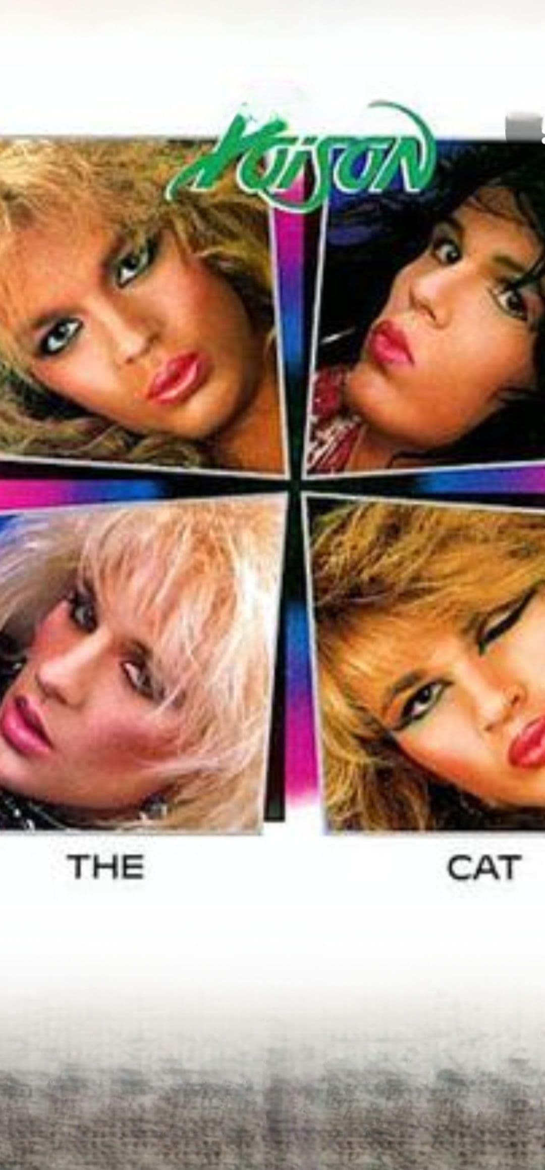Project Your Electrical Panel Shouldn't Be Older Than Hair Metal image