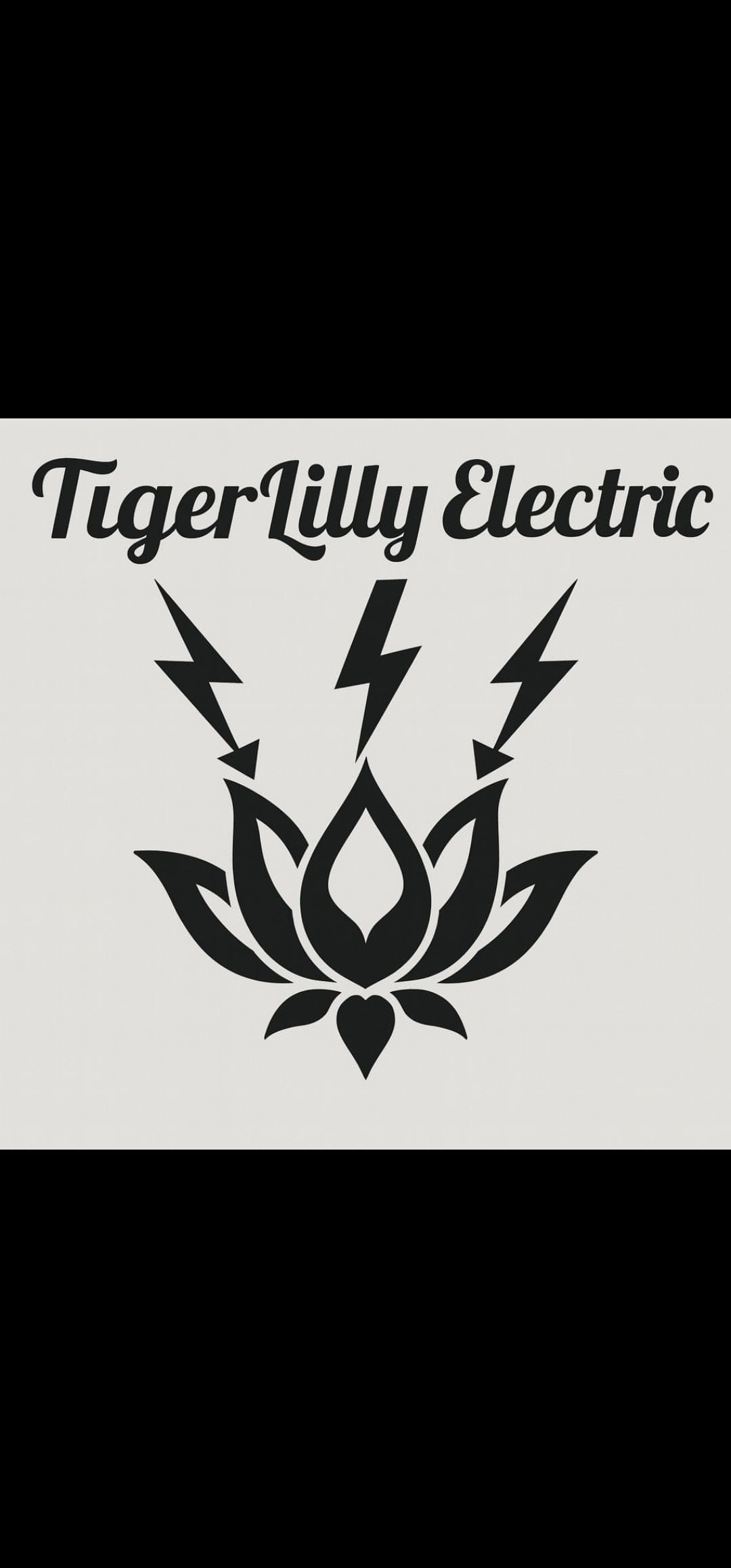 Gallery photos for Stay Safe on Friday the 13th with Tiger Lilly Electric: Image #3